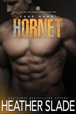 Code Name: Hornet (K19 Allied Intelligence Team Two #4)