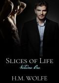 Slices of Life, Vol. One: The Base: The Beginning