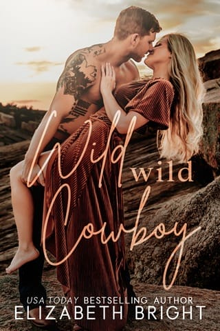 Wild, Wild Cowboy (Lodestar Ranch #3)