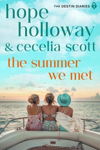The Summer We Met (The Destin Diaries #1)