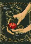 Teacher's Pet (The Shadows of Darkness Universe #2)