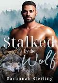 Stalked by the Wolf (Gold Creek Wolves)