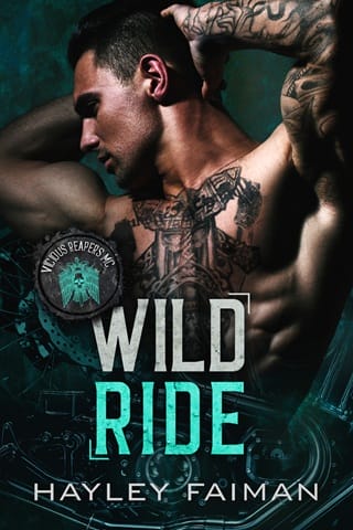 Wild Ride (Vicious Reapers MC #1)