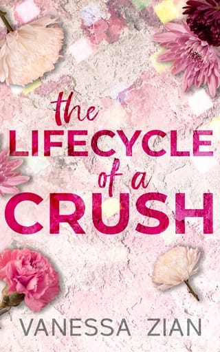 The Lifecycle of a Crush