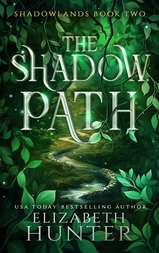 The Shadow Path (Shadowlands #2)