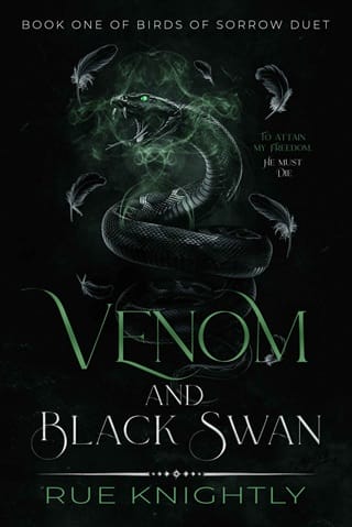 Venom and Black Swan (Birds of Sorrow Duet #1)