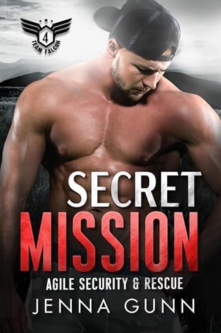 Secret Mission (Team Falcon: Agile Security & Rescue Team 2, #4)
