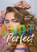 Knot Perfect (Hiddenverse #4)