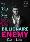 My Big, Fat, Hot Billionaire Enemy (Big, Fat Bigwigs #2)