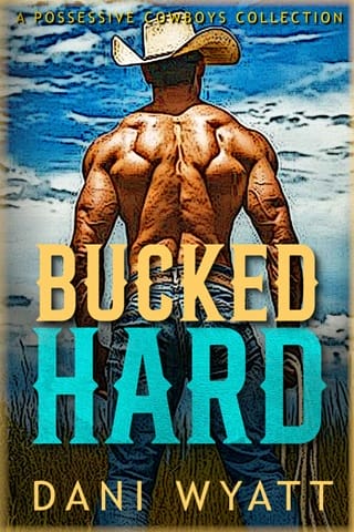 Bucked Hard: A Possessive Cowboys & Happy Endings Collection