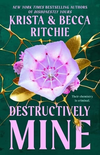 Destructively Mine (Webs We Weave #2)