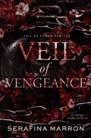 Veil of Vengeance (Veil of Power #1)