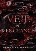 Veil of Vengeance (Veil of Power #1)