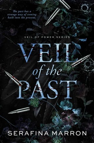Veil of the Past (Veil of Power #2)