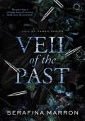 Veil of the Past (Veil of Power #2)
