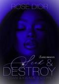 Seek & Destroy