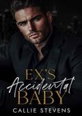 Ex’s Accidental Baby (Alpha Billionaire Daddies #5)