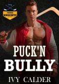 Puck’n Bully (Thunder Knights #1)