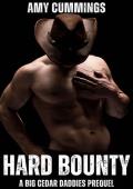 Hard Bounty