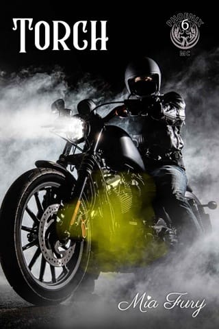 Torch (Phoenix MC #6)