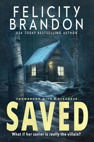 Saved (Snowbound with a Stranger #1)