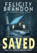 Saved (Snowbound with a Stranger #1)