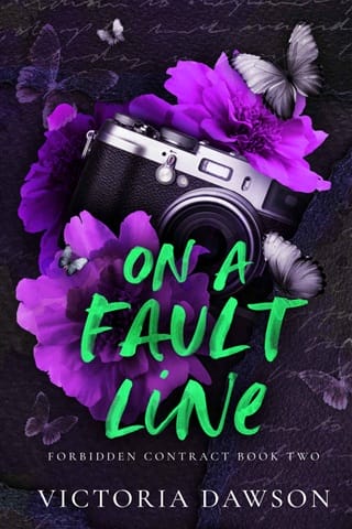 On a Fault Line (Forbidden Contract #2)