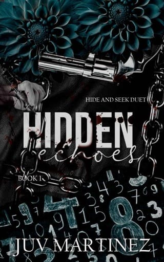 Hidden Echoes (Hide and Seek #1)