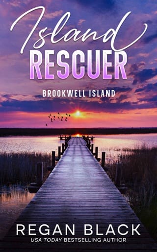 Island Rescuer (Brookwell Island #6)
