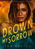 Drown My Sorrow (When it Raines Omegaverse #5)