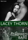 Stripped Bare (Bare Love #7)