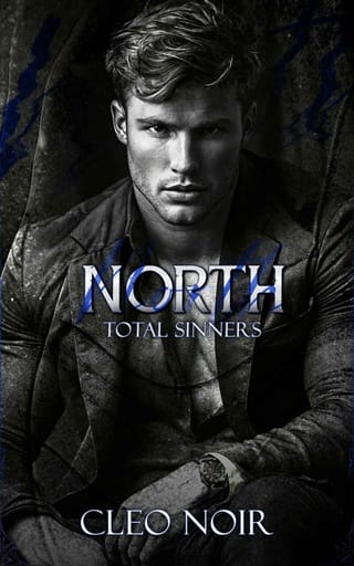 North (Total Sinners #1)