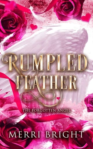 Rumpled Feather (The Forgotten Angel)