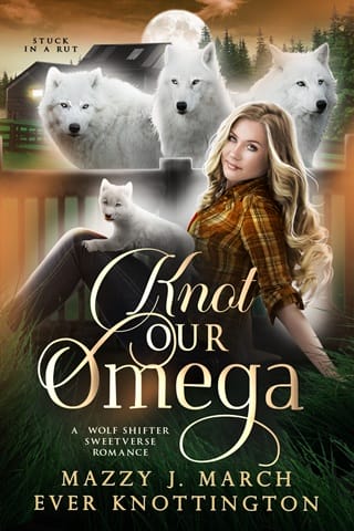 Knot Our Omega (Stuck in a Rut #1)