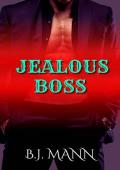 Jealous Boss (Jealous & Possessive #2)
