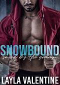 Snowbound (Delectable Protectors #3)