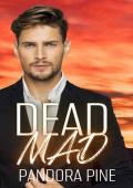 Dead Mad (Cold Case Psychic #33)