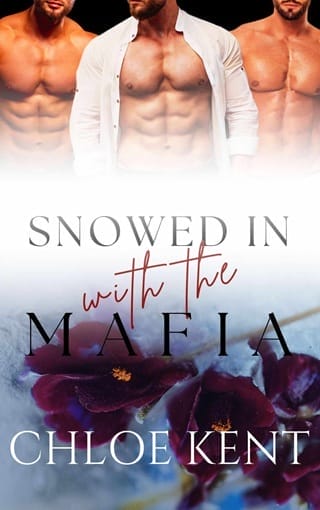 Snowed in with the Mafia (Snowed in with Them #4)
