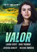 Valor (Long Hot Summer: Christian Romantic Suspense #2)