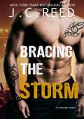 Bracing The Storm (Bracing the Storm #1)