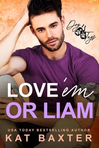 Love ’em or Liam (Dog Tags #4)