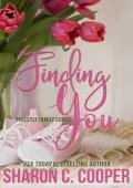 Finding You (Priestly Family #2)
