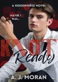 Knot Ready (Hiddenverse #3)