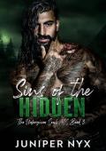 Sins of the Hidden (The Unforgiven Souls MC #3)