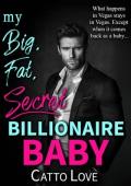 My Big, Fat, Secret Billionaire Baby (Big, Fat Bigwigs #4)