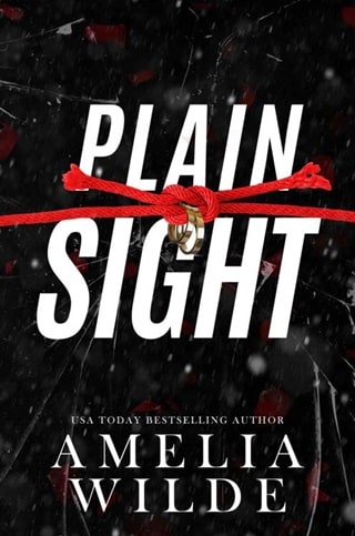 Plain Sight