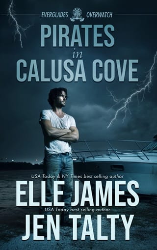 Pirates in Calusa Cove (Everglades Overwatch #2)