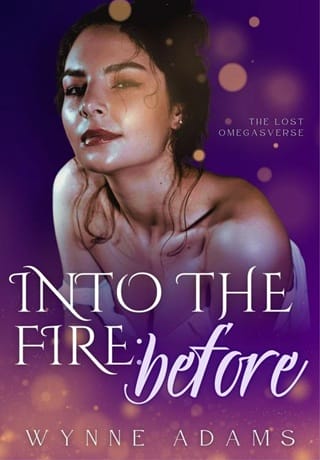 Into the Fire: Before (The Lost Omegasverse #1)