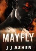 Mayfly