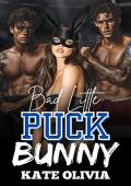 Bad Little Puck Bunny (The Blackridge Reapers #3)